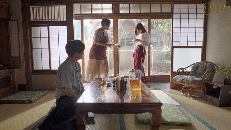 数年ぶりに帰省すると、アラサーの姉は未だに自称家事手伝い(ニート)の喪女だった。 隠れ巨乳の姉(26) 天宮花南