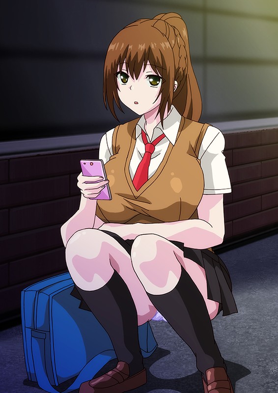 発情スイッチ~堕とされた少女達~ THE ANIMATION