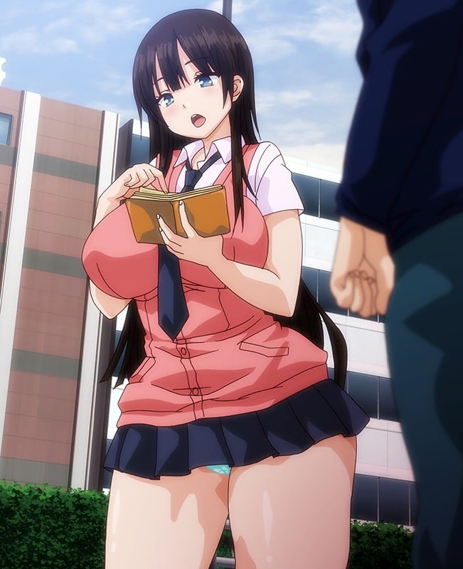 発情スイッチ~堕とされた少女達~ THE ANIMATION