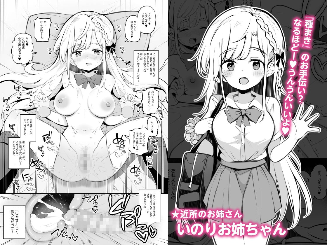 たのしいたねまきいちねんせい!