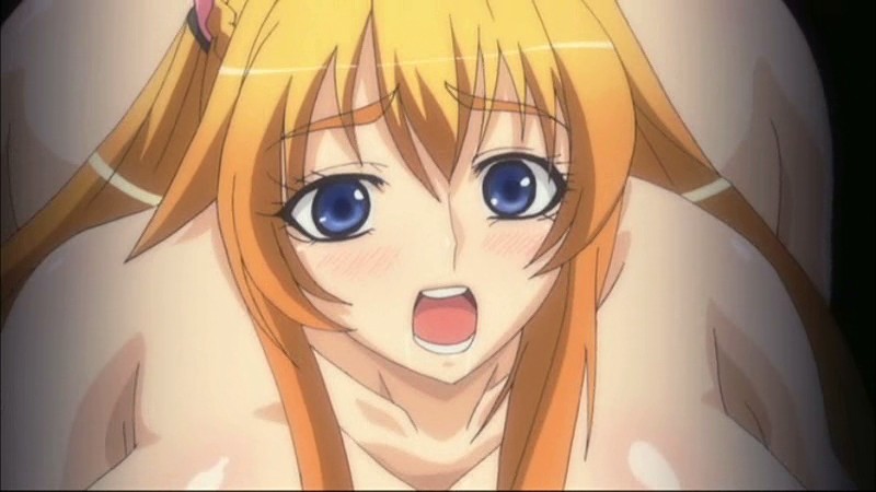 豚の如き山賊に捕らわれて処女を奪われる巨乳姫騎士&女戦士~絶対チ○ポなんかに負けたりしない!!~ THE ANIMATION