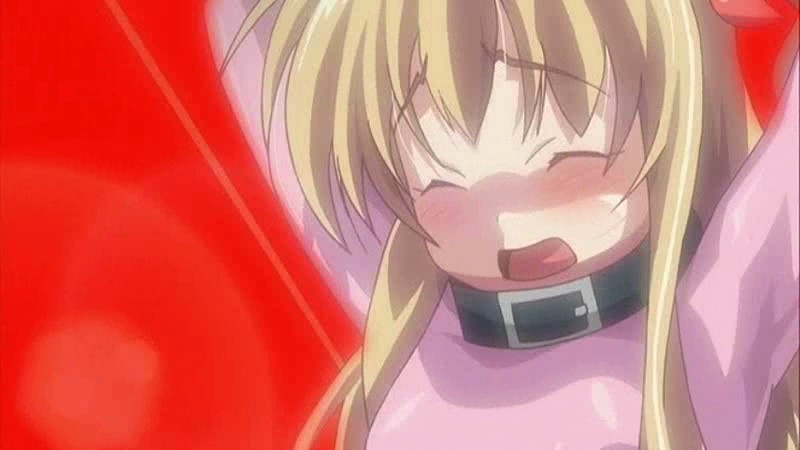 ぜったい遵守☆強●子作り許可証!! 2枚目~ぜったい中出し~