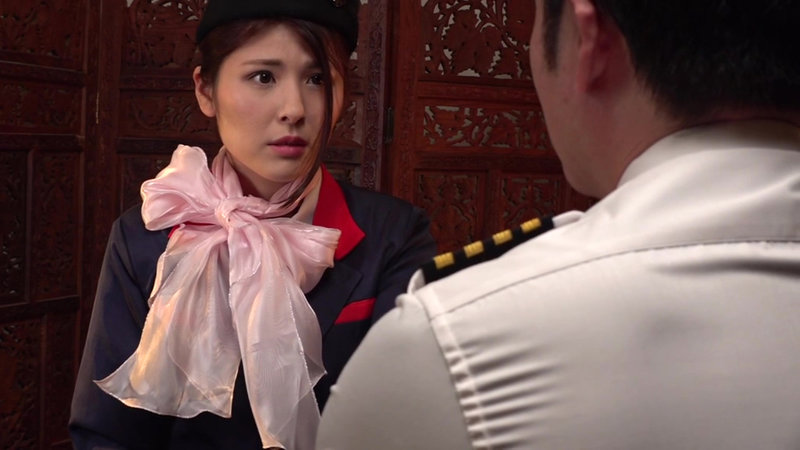 航空業界美肉の乱気流 性調教地獄に墜とされたスレンダーCA 愛乃零