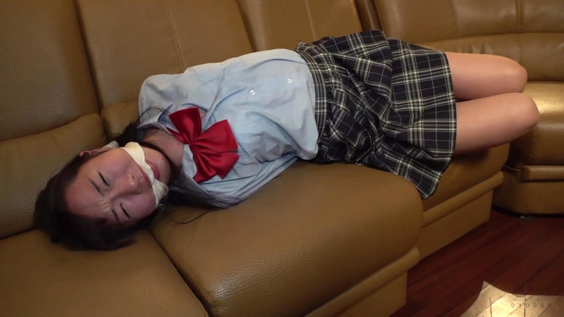 DID猿轡着衣拘束 パンティーの中にバイブを仕込まれ放置される女