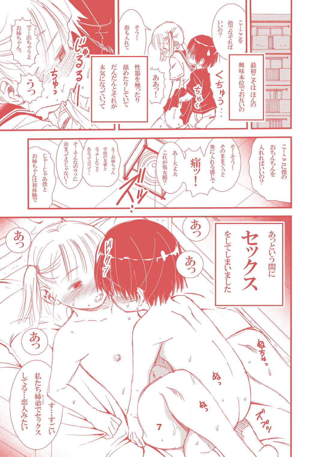 姉と僕と団地と情事