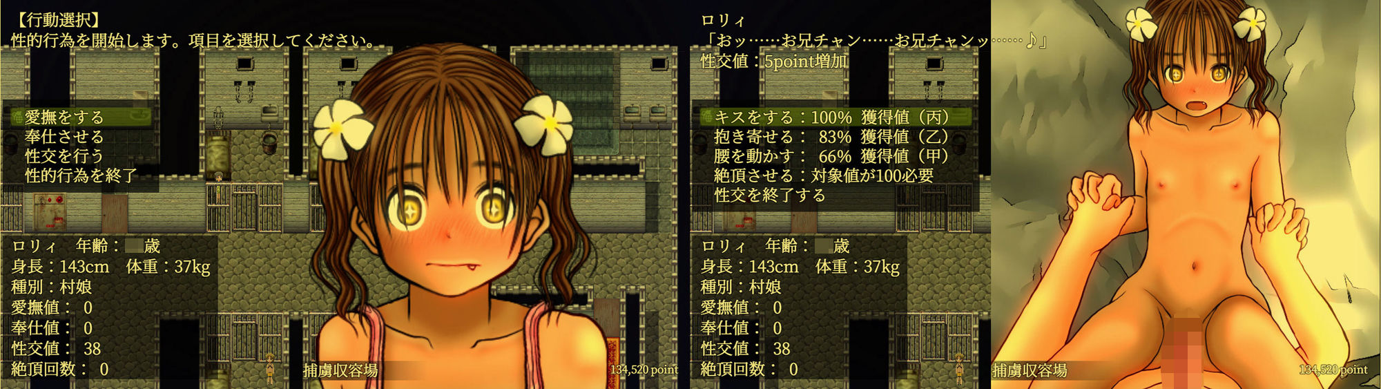 侵略戦線ジャングル・ジャンク （植民地支配RPG＋調教SLG）