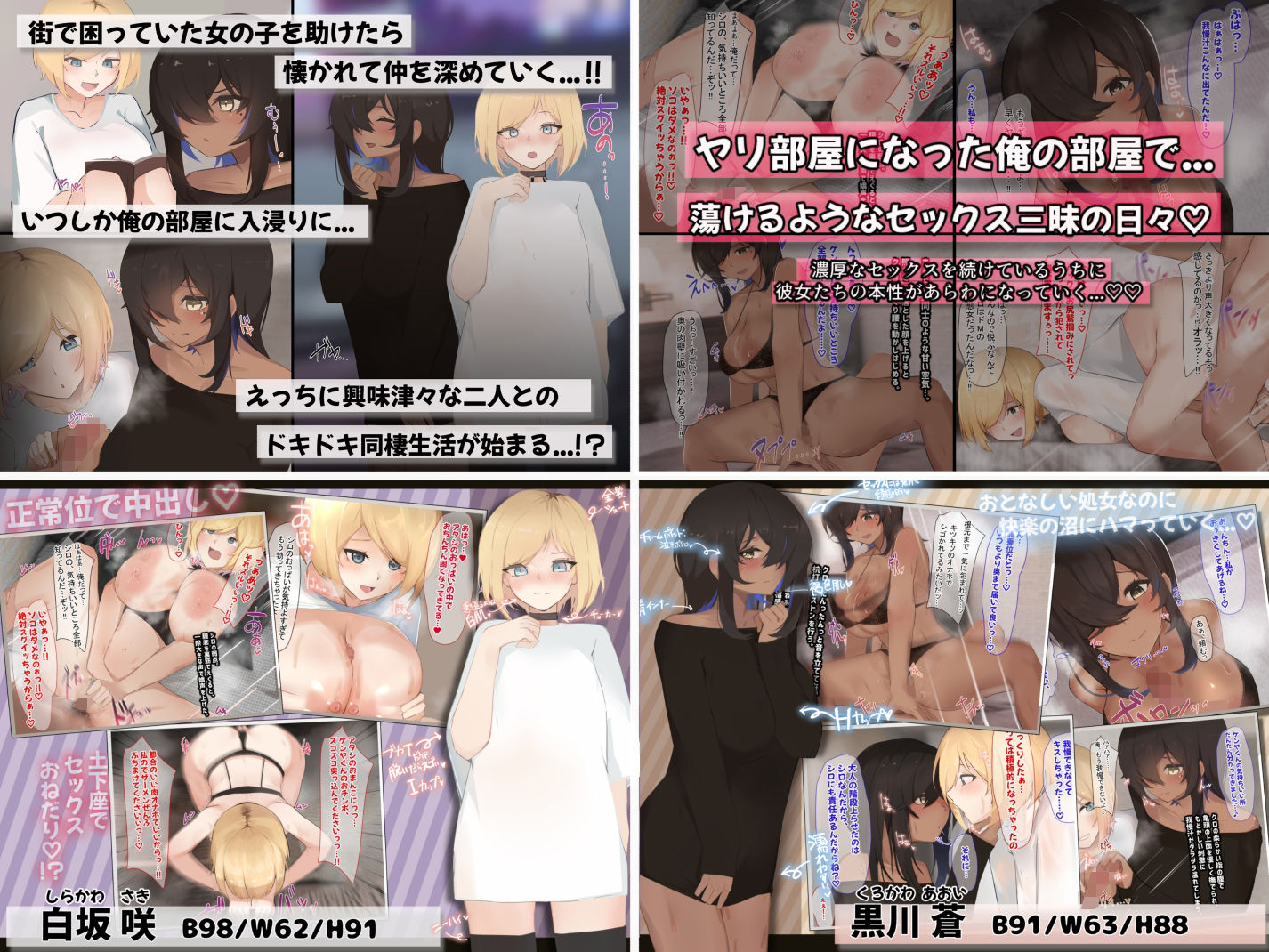 【第2弾】ふたわーくす4作品お買い得パック！