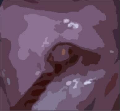 私の蟲姦遊び 第11話 妊娠中にカミキリ虫の幼虫とゴキブリの卵編 全編