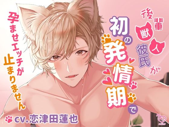 後輩獣人彼氏が初の発情期で孕ませエッチが止まりません