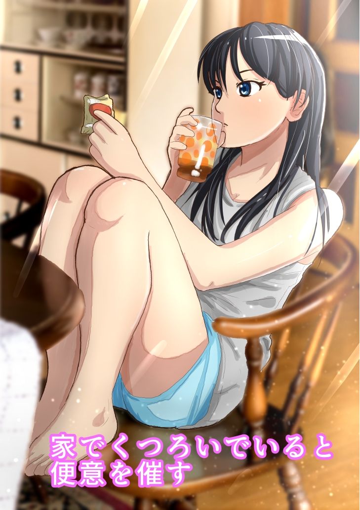 洋式トイレ盗撮 一ノ宮明日美