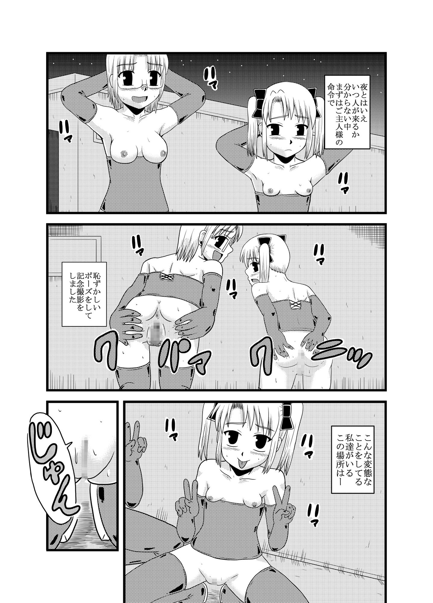 お母さんと一緒 柴野母娘の調教 総集編