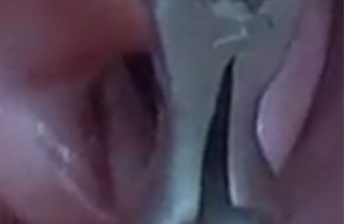 私の蟲姦遊び 第15話 妊娠中にムカデとムカデの卵編