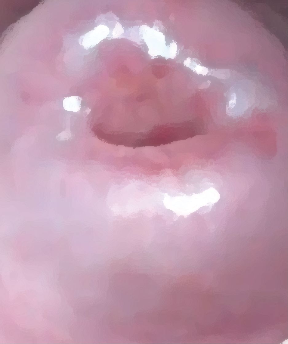 私の蟲姦遊び 第15話 妊娠中にムカデとムカデの卵編