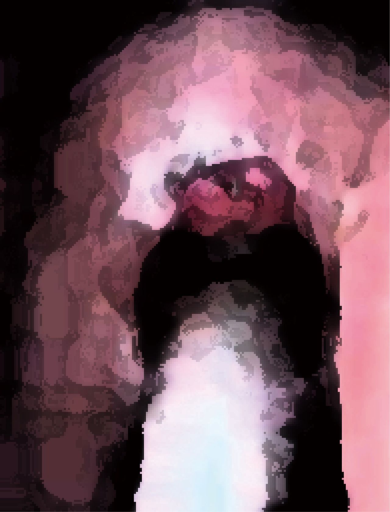 私の蟲姦遊び 第15話 妊娠中にムカデとムカデの卵編