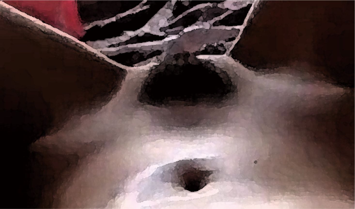 私の蟲姦遊び 第15話 妊娠中にムカデとムカデの卵編