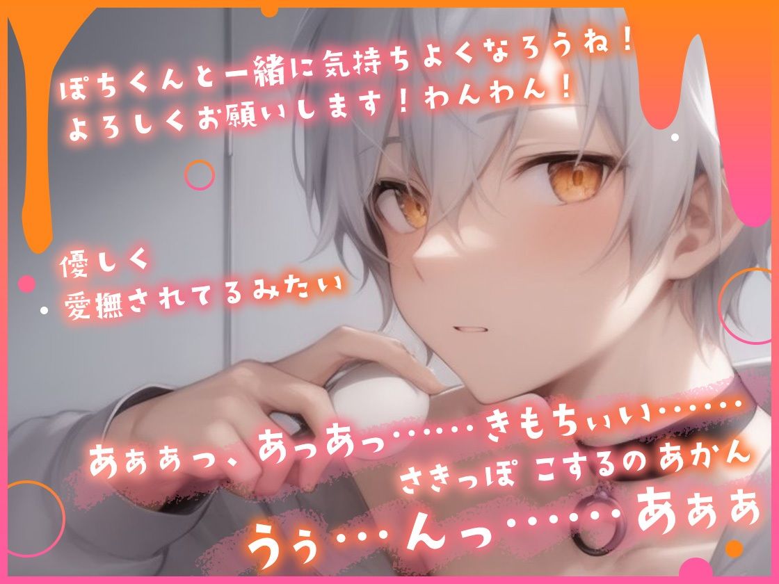 ★初回限定価格★ガチ実演★関西弁わんこ系男子27歳★テ〇ガエッグ日替わり体験★犬坂ぽち★