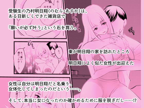 彼女の名でなく呼んでほしい〜とある女体化した受験生の物語〜