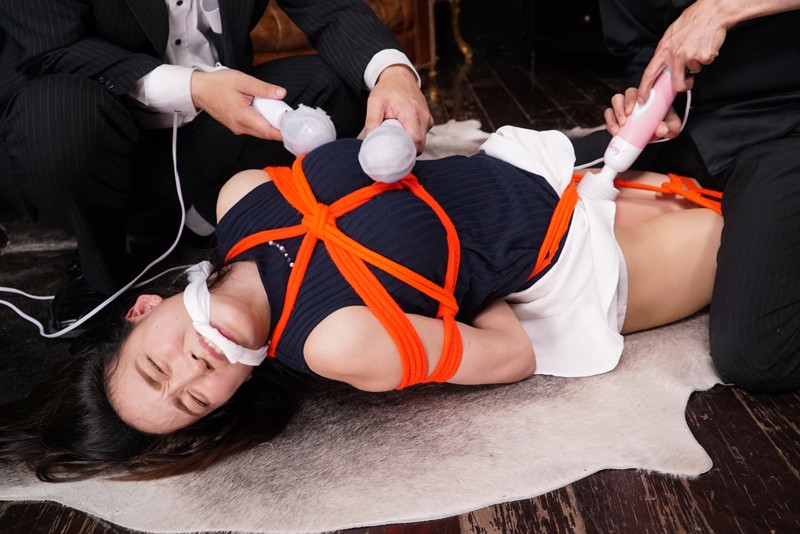 拷問される女 マッドネス・セレナーデ vol.2 哀しき追憶の刻印と悪魔の性感媚薬 蓮実クレア