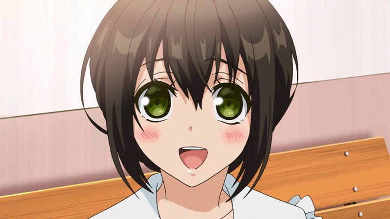 スカートの中はケダモノでした。【プレミアム版】分割版(1)