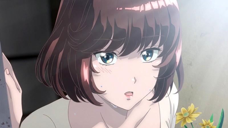 じょしおちっ!~2階から女の子が…降ってきた!?~【プレミアム版】分割版(1)