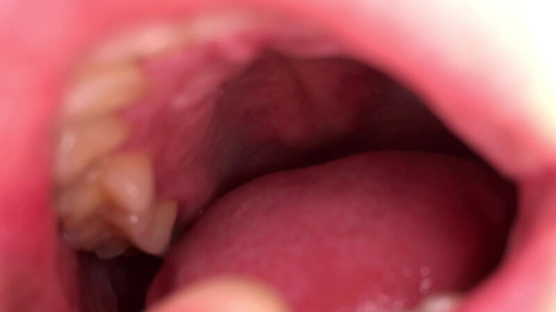 女体観察Vol2口腔観察編