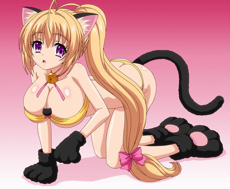 バカな妹を利口にするのは俺の××だけな件について子猫も大好き!! 御津井 芭華◆にゃんこな姿でぺろぺろしちゃうぞ◆ 編