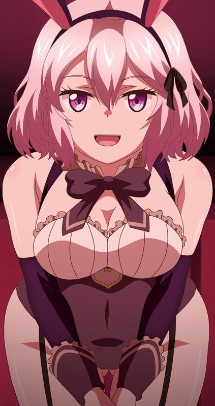 Knight of Erin 1st tale 傭兵エリンの旅立ちと、秘密のバニーガール