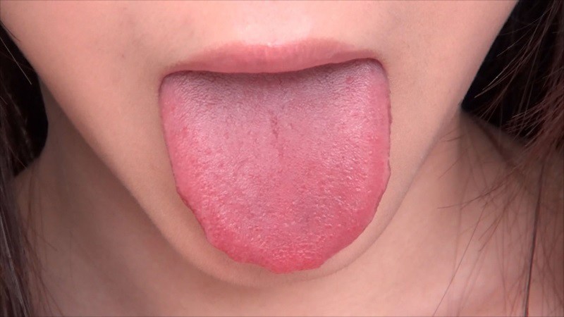 蓮実クレア PREMIUM BEST！ 15作品 5時間