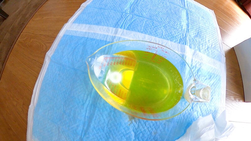 激臭排泄系自撮り女子 堀口美緒