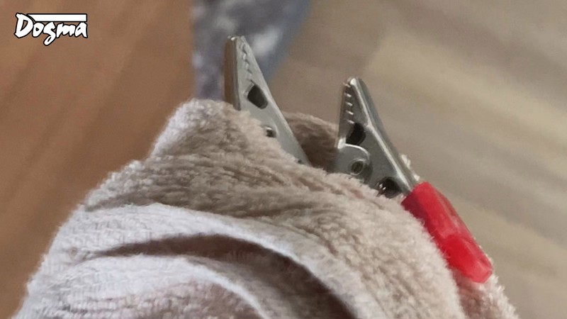 【※悪用厳禁】通電ショック洗脳実験 「パブロフの犬の定理」の電気実験を使って少女を完全にマインドコントロールする監禁術。 冬愛ことね