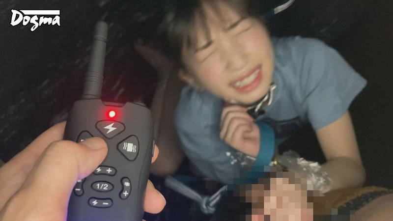 【※悪用厳禁】通電ショック洗脳実験 「パブロフの犬の定理」の電気実験を使って少女を完全にマインドコントロールする監禁術。 冬愛ことね