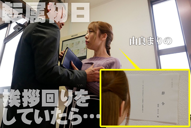 転勤先はセクハラ三昧の部署だった
