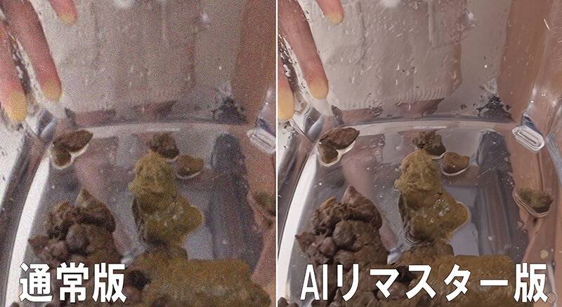 【AIリマスター版】素人ナンパトイレ号がゆく 外伝 人妻プレミアうんち 夫には見せられない！極上ミセス初脱糞