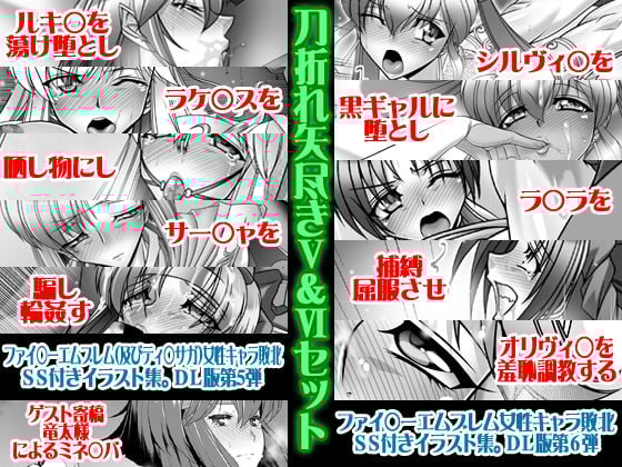 刀折れ矢尽きV&VIセット