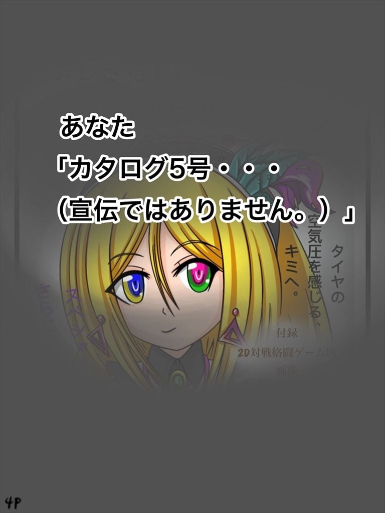 ふしぎな国でのにゃリス カタログ10号