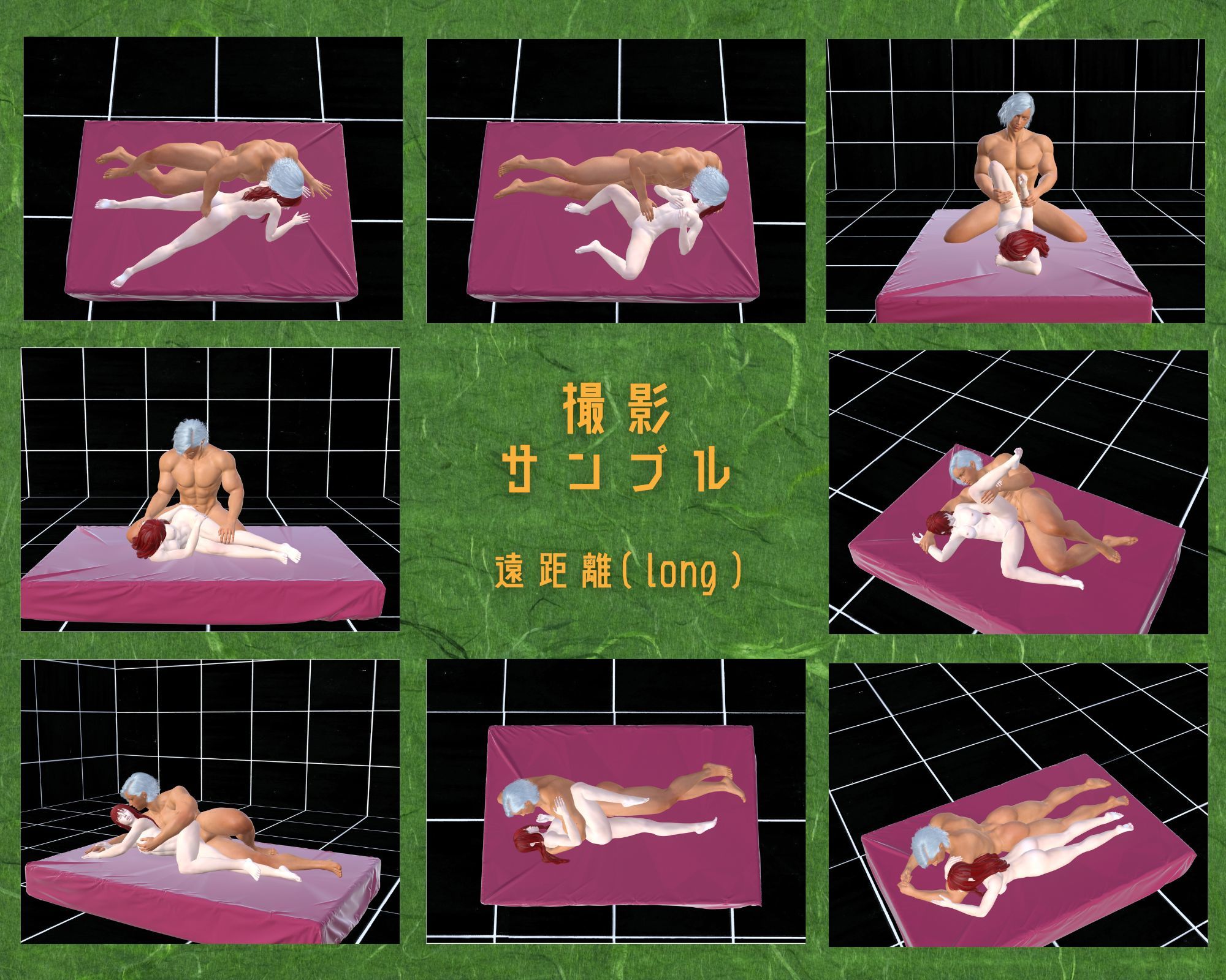 作画資料に使える！エロ漫画用3Dポーズ集 Vol.005 【 側位編 】 作成イメージ : 〜異世界転移した社畜OLと隠れ鬼畜なイケメン筋肉王子〜