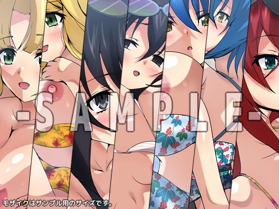 おっぱいいっぱいのスクールライフ！ シチュCG集 ＃9『バケーション』