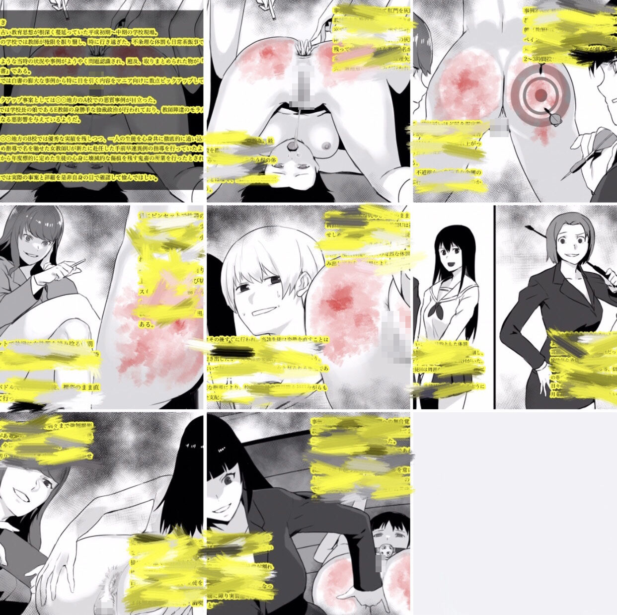 『平成体罰白書』 〜女教師×女生徒のマニア向け体罰事例集〜