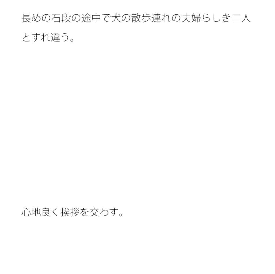 【無料】桟橋から覗く鯉（こい）の群れ 夕方の池へ向かう石段
