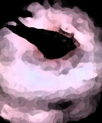 私の蟲姦遊び 18話 妊娠中に5 匹のミズアブの幼虫編