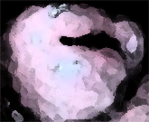 私の蟲姦遊び 18話 妊娠中に5 匹のミズアブの幼虫編