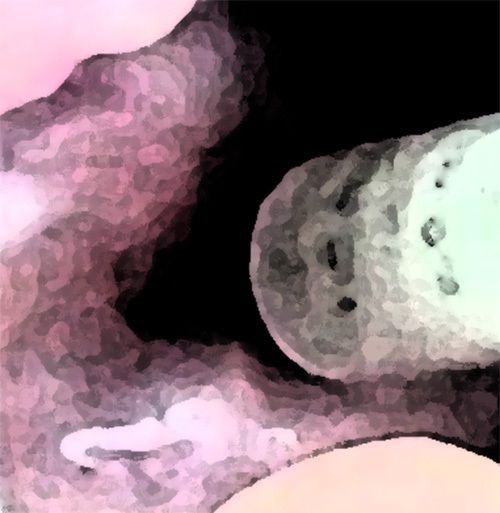 私の蟲姦遊び 18話 妊娠中に5 匹のミズアブの幼虫編