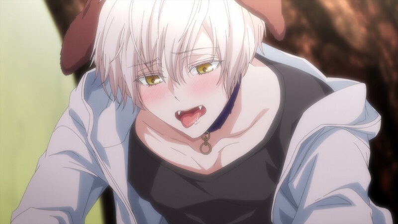 森のくまさん、冬眠中。【プレミアム版】(1)