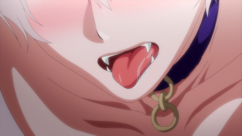 森のくまさん、冬眠中。【プレミアム版】(1)