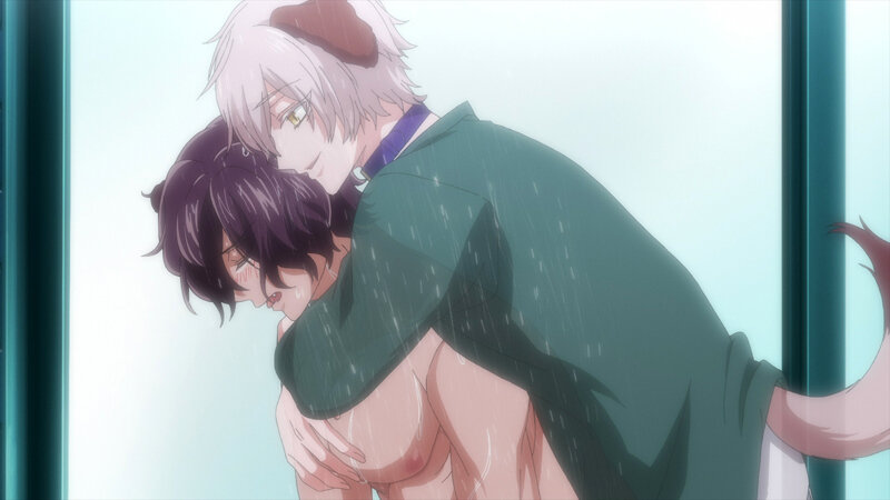 森のくまさん、冬眠中。【プレミアム版】(3)