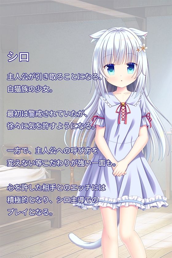 ［ソフトM向け］猫少女シロとの共依存性活