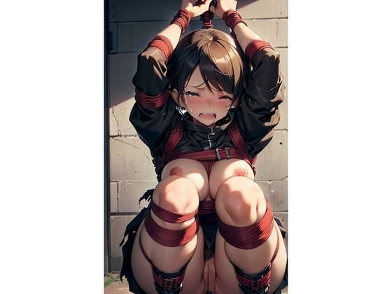 この国は侵略されました