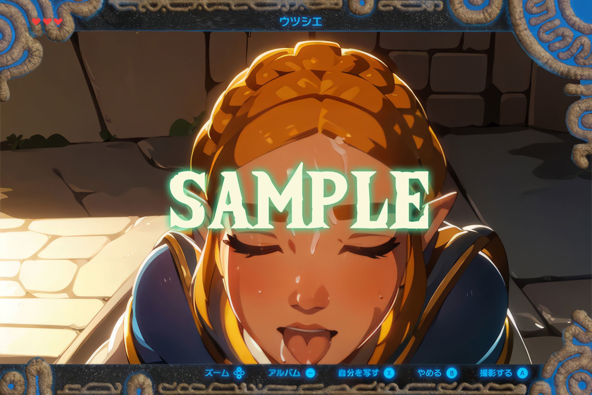 ゼル〇の伝説:ハイラル王国王女ゼル〇