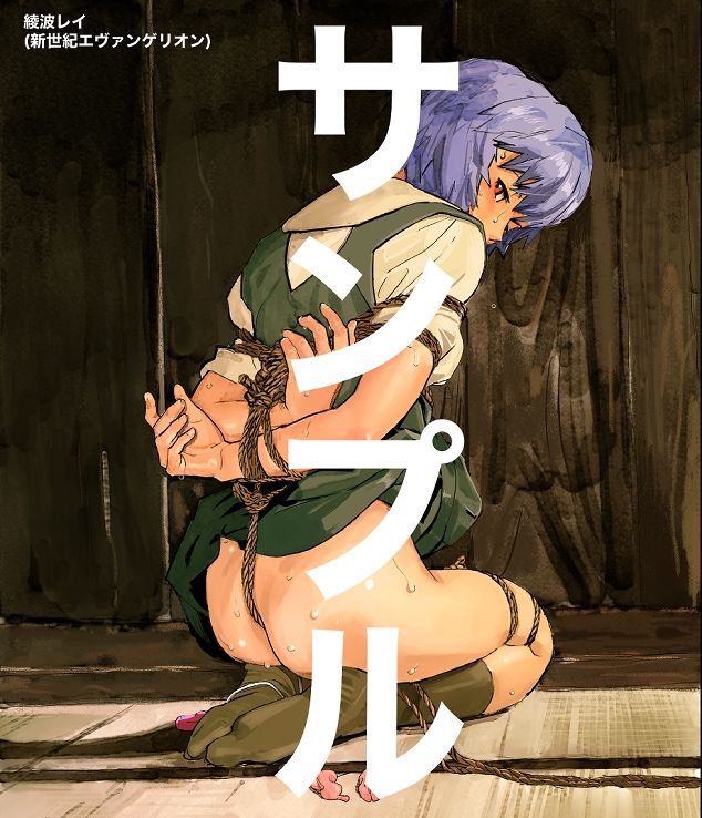 1277枚 版権モノSM緊縛イラスト集＋その他