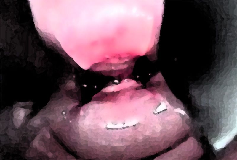 私の蟲姦遊び 19話 妊娠中に2匹のゴキブリの幼虫編